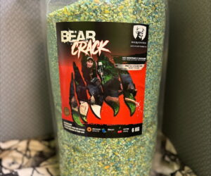 NOUVEAUTÉ.       BEAR CRACK BLEUET BH